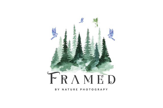 The logo for Framed By Nature Photography. Northeast Michigan elopement, small wedding, family, and senior portrait photographer brand.