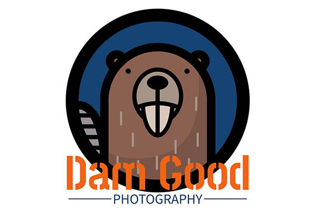 A logo we created for dam good photography as a graphic design example.